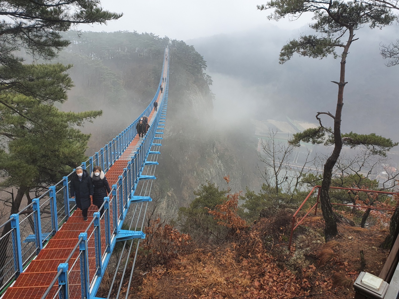 아찔한 소금산 출렁다리